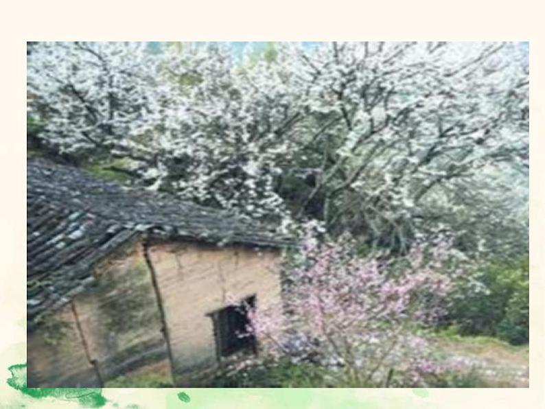 七年级语文下册 4.14 驿路梨花 课件（人教部编版）第4页