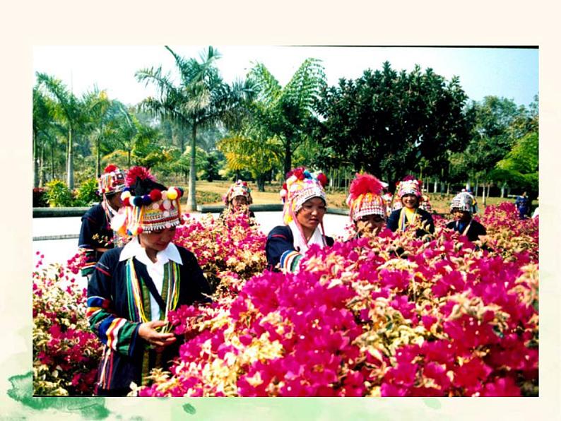 七年级语文下册 4.14 驿路梨花 课件（人教部编版）第5页