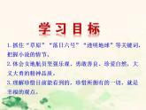 七年级语文下册 6.23 带上她的眼睛 课件（人教部编版）