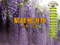 初中语文人教部编版七年级下册18 紫藤萝瀑布教课ppt课件