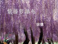 人教部编版七年级下册18 紫藤萝瀑布教课ppt课件