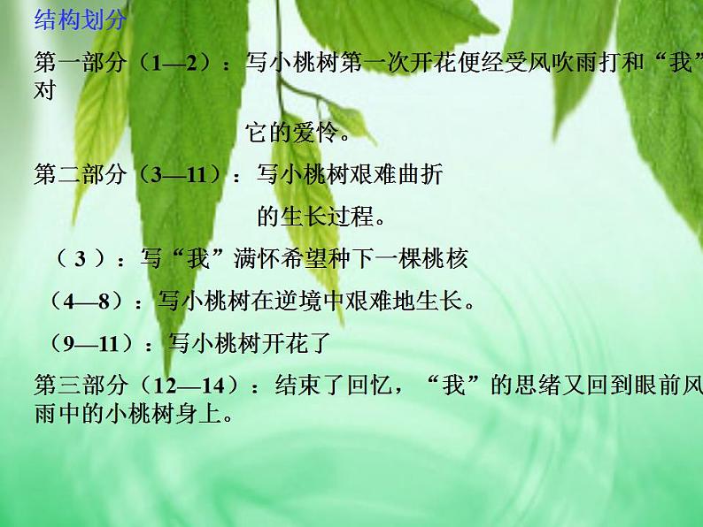 七年级下册第五单元《一棵小桃树》课件4（人教部编版）04