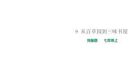 初中语文人教部编版七年级上册9 从百草园到三味书屋说课课件ppt