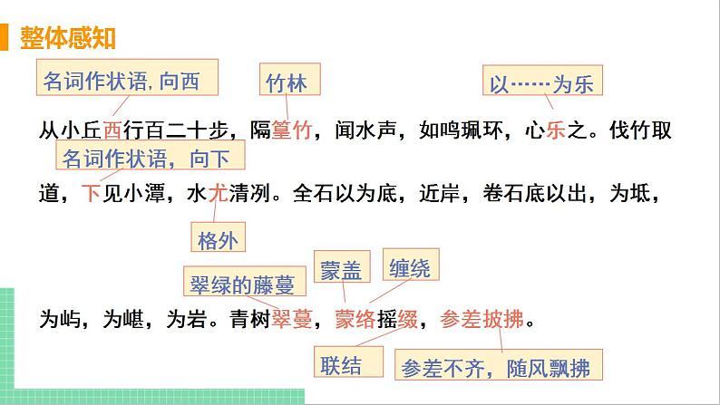 2021年语文人教部编版 八年级下册第三单元10 小石潭记 课件第8页