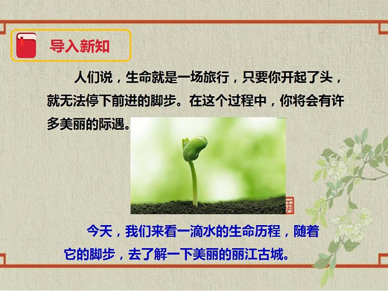 八年级下册 第五单元《一滴水经过丽江》精品课件1（人教部编版）第2页