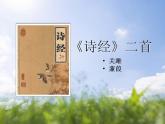 八年级下册 第三单元《〈诗经〉二首》精品课件1（人教部编版）