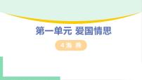人教部编版九年级下册4 海燕授课ppt课件
