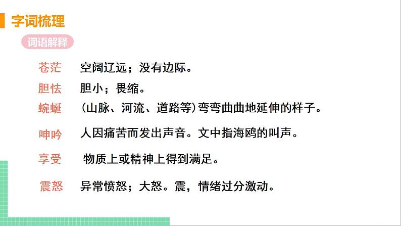 2021年语文人教部编版 九年级下册第一单元4 海燕 课件第8页