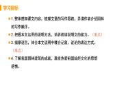 人教部编版八年级语文上册19 苏州园林精品教案、精品课件及精品课堂达标