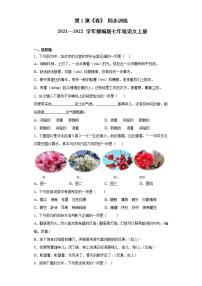 初中语文人教部编版七年级上册1 春精品课后复习题