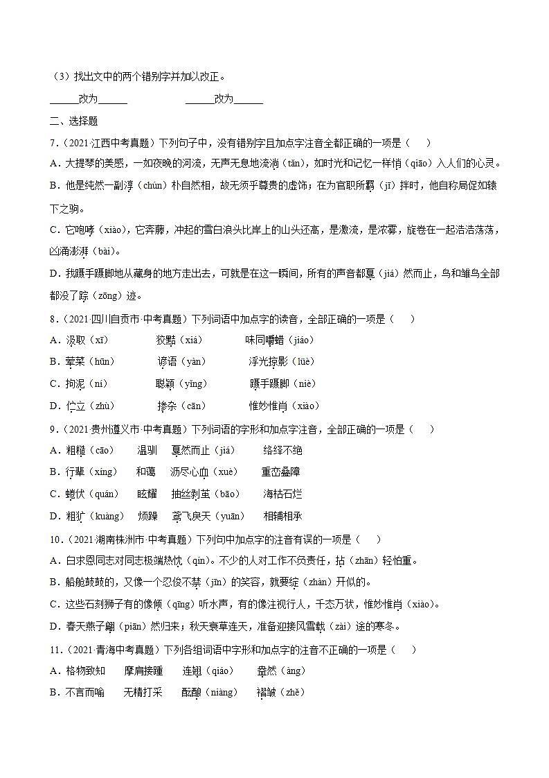 专题01 字音(原卷版)第3页