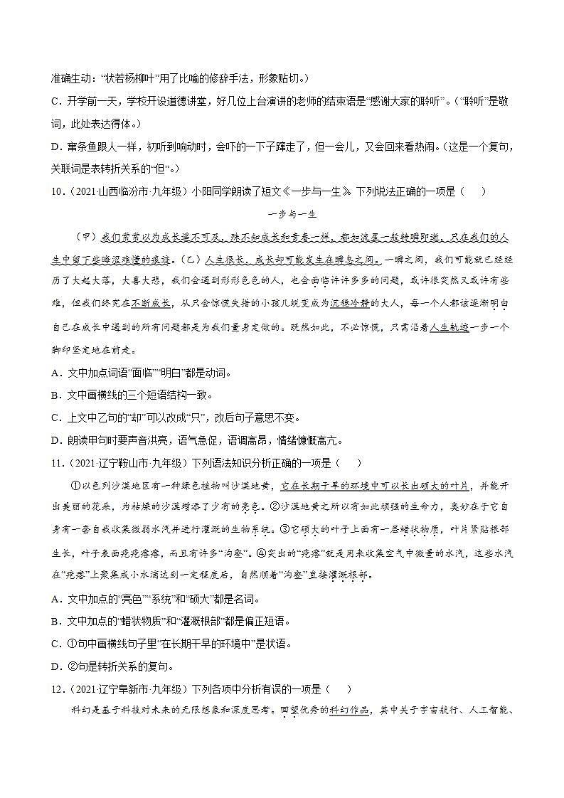 专题06 词类词性(原卷版)第3页