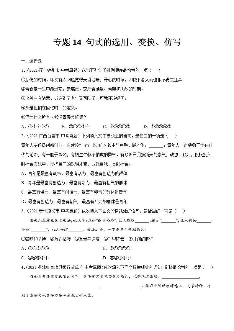 专题14 句式的选用、变换、仿写(原卷版)第1页