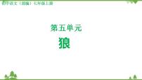 2020-2021学年18 狼图片课件ppt