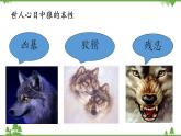 部编版语文七年级上册  第5单元 18 狼 课件+教案