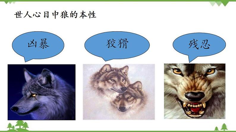 部编版语文七年级上册  第5单元 18 狼 课件+教案04
