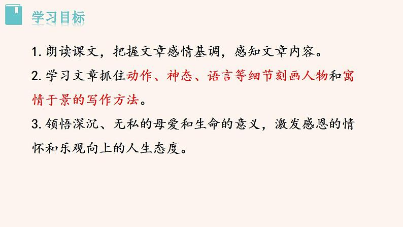 部编版语文《秋天的怀念》PPT课件PPT03