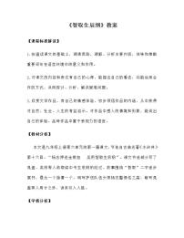 人教部编版九年级上册22 智取生辰纲教案