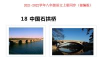 人教部编版八年级上册18 中国石拱桥课前预习课件ppt