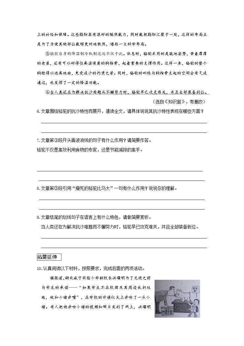 统编版初中语文七年级上册第五单元《猫》作业（第二课时） 练习03