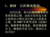 中考复习古诗词常见意象和典故课件PPT