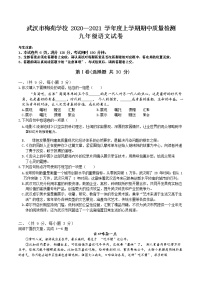 湖北省武汉市梅苑学校2020-2021学年上学期期中考试九年级语文试卷