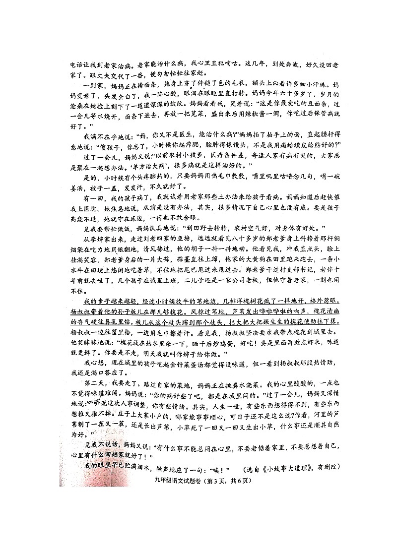 浙江省杭州市余杭区2020年第一学期九年级语文期中测试卷第3页