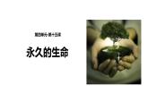 部编版语文八年级上册教学课件《永久的生命》