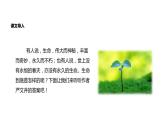 部编版语文八年级上册教学课件《永久的生命》
