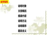 部编版语文八年级上册教学课件《梦回繁华》