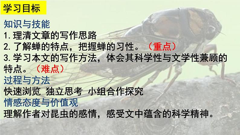 部编版语文八年级上册教学课件蝉02