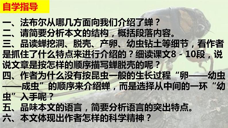 部编版语文八年级上册教学课件蝉03