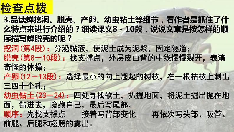 部编版语文八年级上册教学课件蝉06