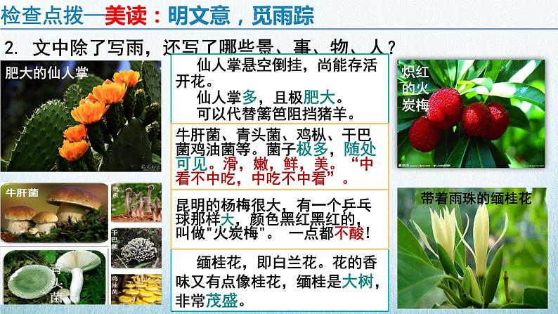 部编版语文八年级上册教学课件昆明的雨05