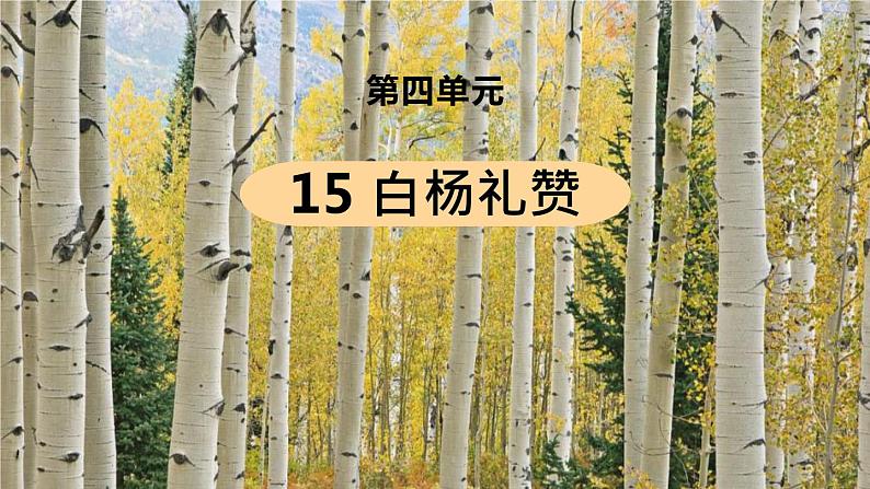 部编版语文八年级上册教学课件白杨礼赞01