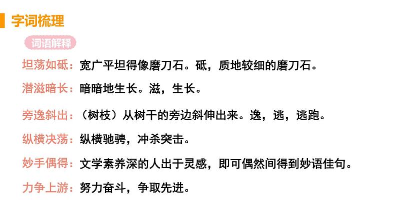 部编版语文八年级上册教学课件白杨礼赞08