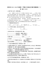 江苏省苏州市2021-2022学年八年级上学期语文期中模拟卷（二）（word版含答案）
