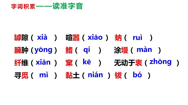 部编版八年级上册语文--21 蝉 课件（共33张PPT）07