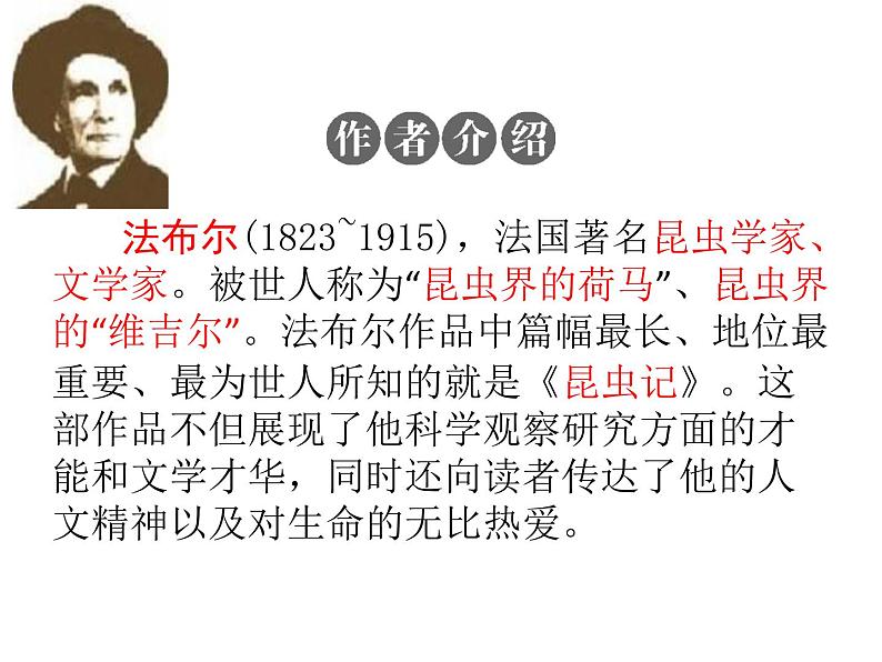 第五单元名著《昆虫记》课件   2021-2022学年部编版语文八年级上册03