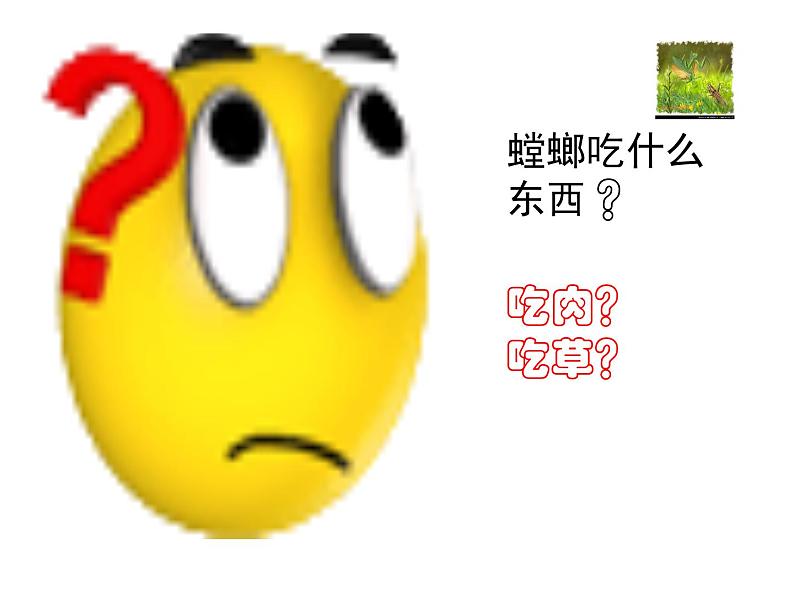 第五单元名著《昆虫记》课件   2021-2022学年部编版语文八年级上册07