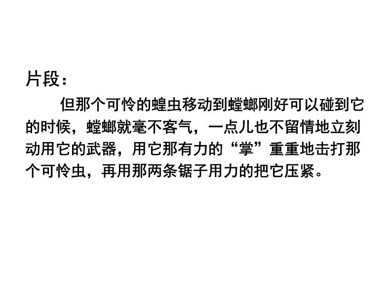 第五单元名著《昆虫记》课件   2021-2022学年部编版语文八年级上册08