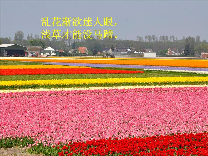 部编版语文七年级上册1.春课件01