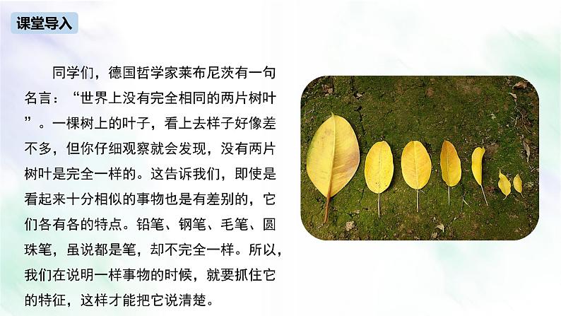 说明文写作技巧-2021-2022学年八年级语文上册单元写作深度指导（部编版）课件PPT04