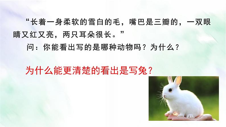 说明文写作技巧-2021-2022学年八年级语文上册单元写作深度指导（部编版）课件PPT07