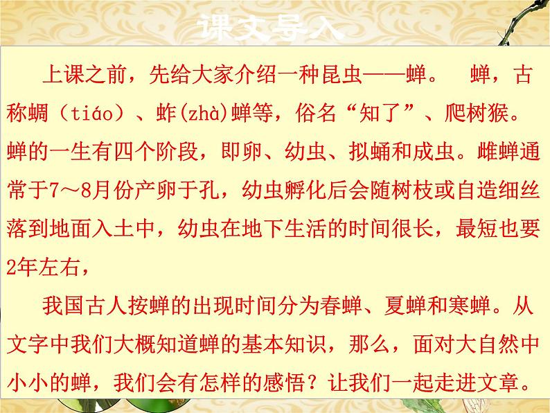 21 蝉-2021-2022学年八年级语文上册课件（部编版）第3页