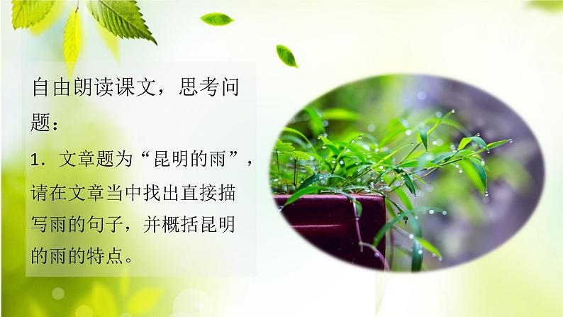 第17课《昆明的雨》课件（共16张PPT） 2021—2022学年部编版语文八年级上册03