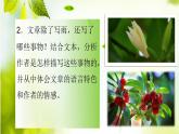 第17课《昆明的雨》课件（共16张PPT） 2021—2022学年部编版语文八年级上册