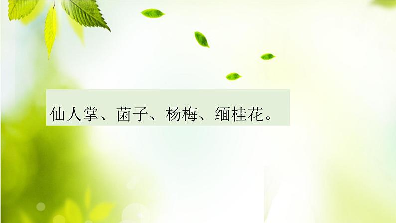 第17课《昆明的雨》课件（共16张PPT） 2021—2022学年部编版语文八年级上册06