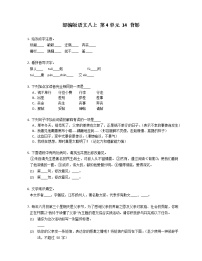 八年级上册13 背影课后测评
