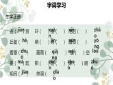 19《苏州园林》课件（36张PPT）  2021-2022学年部编版语文八年级上册